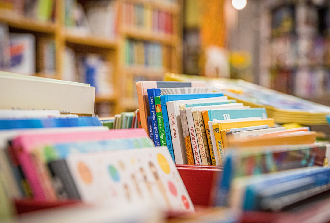 Journal d'un dégonflé : un livre qui suscitera l'intérêt de votre enfant